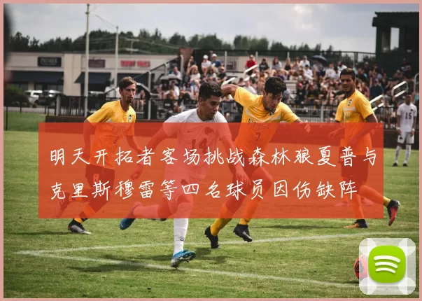 明天开拓者客场挑战森林狼夏普与克里斯穆雷等四名球员因伤缺阵